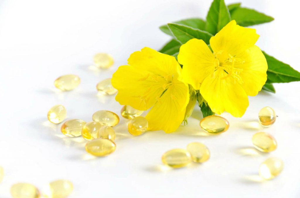 Evening primrose oil là gì? Tác dụng với sức khỏe ra sao?